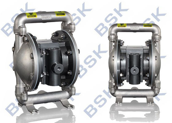 Low Pressure Stainless Steel Diaphragm Pump  Self Priming Dual Diaphragm Pump
